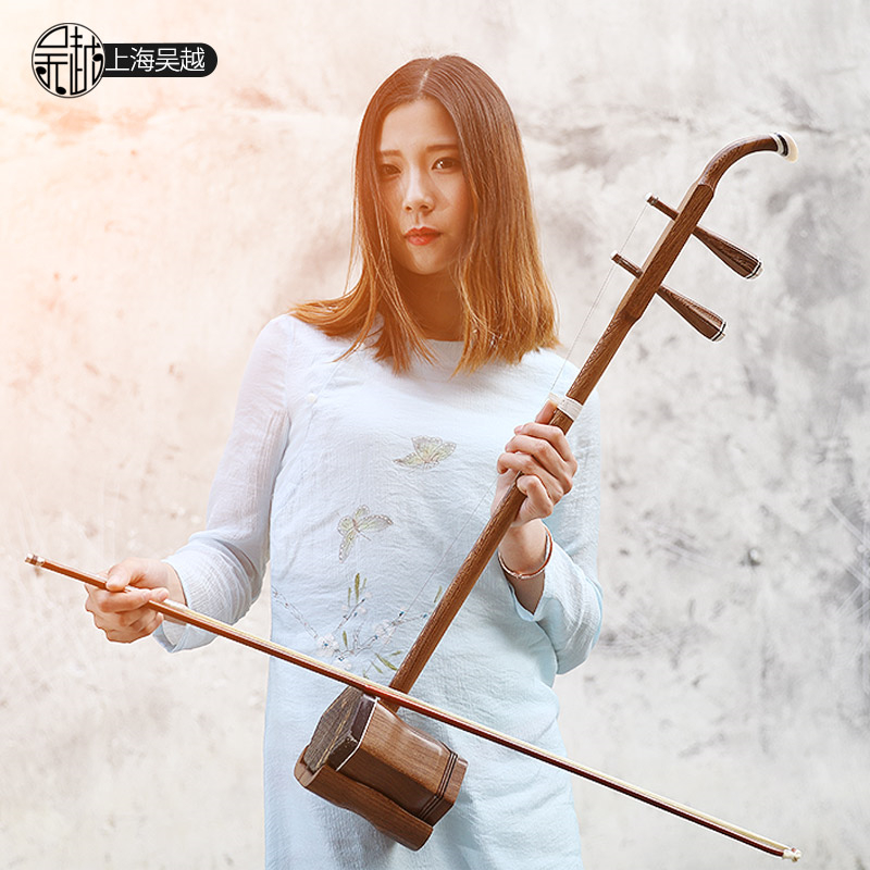 Chinese Folk String Instrument - Musical Instrument Book ulasan dan harga