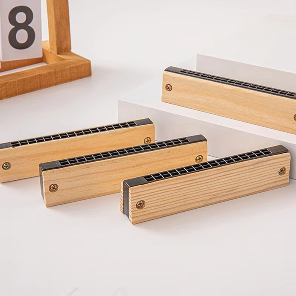 Creative DIY Little Harmonica  - Musical Instrument Melodica ulasan dan harga