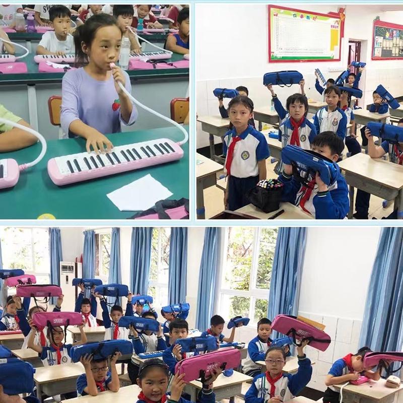 Melodica Flexible Currency Tub - Musical Instrument Melodica ulasan dan harga