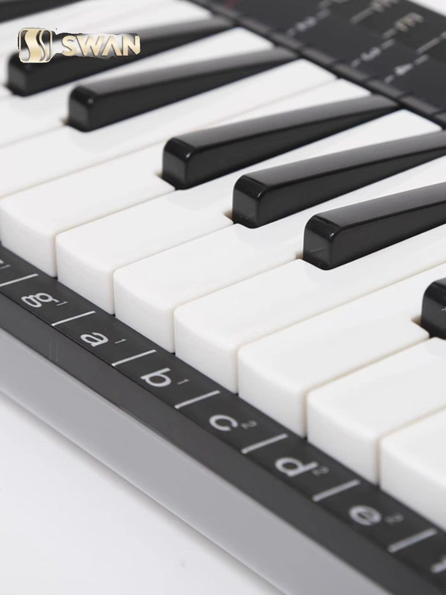 37 Key Professional Melodica S - Musical Instrument Melodica ulasan dan harga